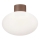 Ideal Lux - Buitenplafondlamp CLIO 1xE27/42W/230V IP44 bruin