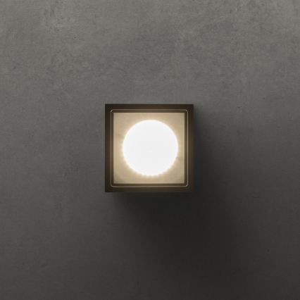Ideal Lux - Buitenspot TECHO 1xGU10/20W/230V 9x9 cm IP54 zwart