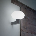 Ideal Lux - Buitenwandlamp CLIO 1xE27/42W/230V IP44 antraciet