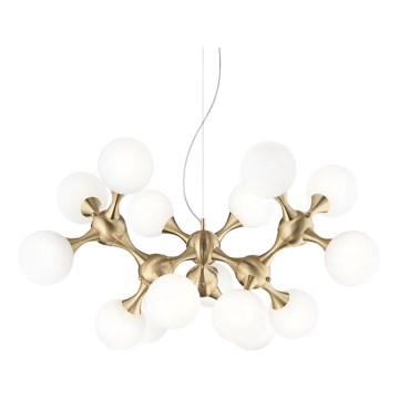 Ideal Lux - Hanglamp aan een koord NODI 15xE14/28W/230V messing