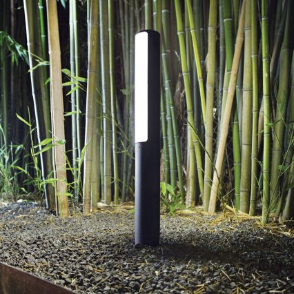 Ideal Lux - LED-buitenlamp ETERE LED/9,5W/230V 3000K 60 cm CRI 90 IP44 antraciet