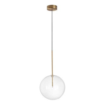 Ideal Lux - LED Hanglamp aan een koord EQUINOXE 1xG4/2W/230V diameter 25 cm messing/doorzichtig