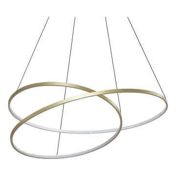 Ideal Lux - LED-kroonluchter aan kabel OZ LED/75W/230V Ø 100 cm CRI 90 goudkleurig