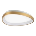 Ideal Lux - LED Plafondlamp GEMINI LED/23W/230V diameter 42,5 cm CRI 90 goud