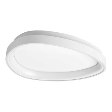 Ideal Lux - LED Plafondlamp GEMINI LED/23W/230V diameter 42,5 cm CRI 90 wit