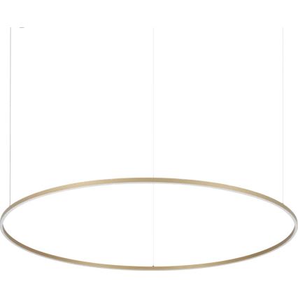Ideal Lux - LED-kroonluchter aan kabel ORACLE SLIM LED/81W/230V 3000K CRI 90 pr. 150 cm goud
