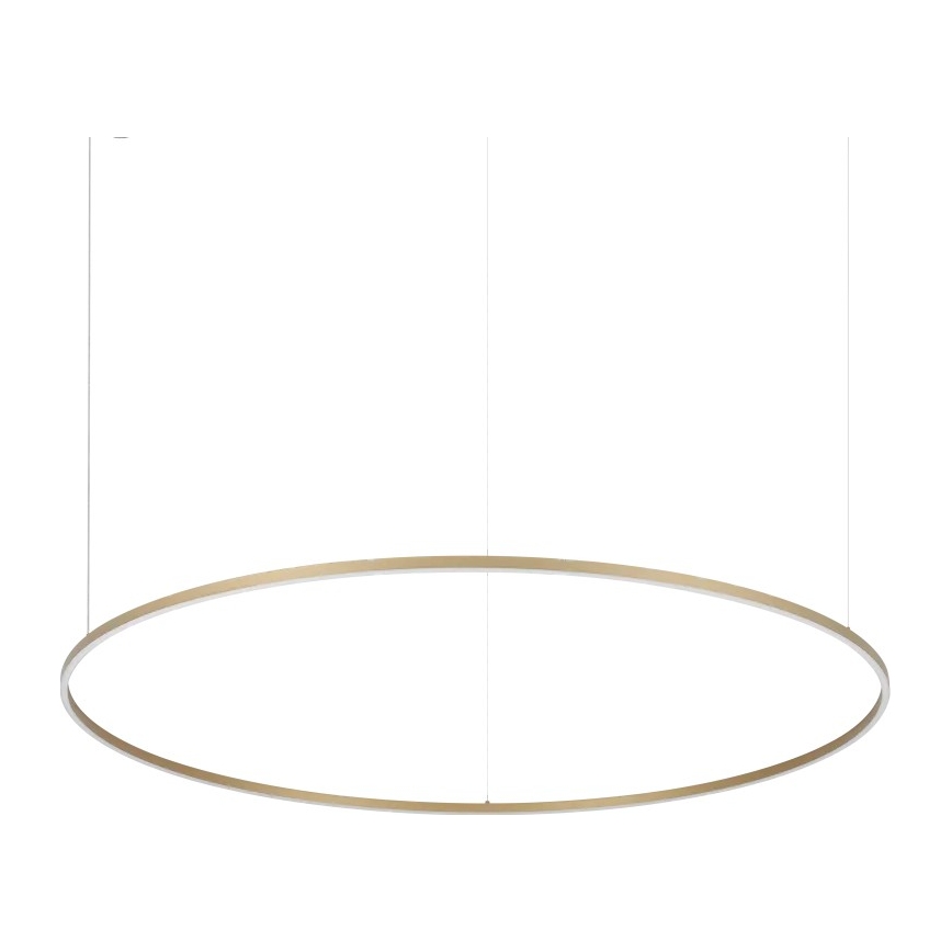 Ideal Lux - LED-kroonluchter aan kabel ORACLE SLIM LED/81W/230V 3000K CRI 90 pr. 150 cm goud
