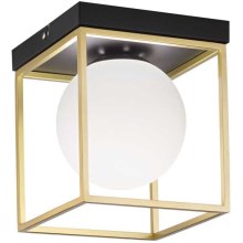 Ideal Lux - Plafondlamp LINGOTTO 1xE14/40W/230V