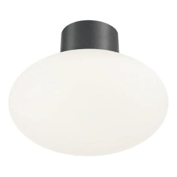 Ideal Lux - Plafondlamp voor buiten CLIO 1xE27/42W/230V IP44 antraciet