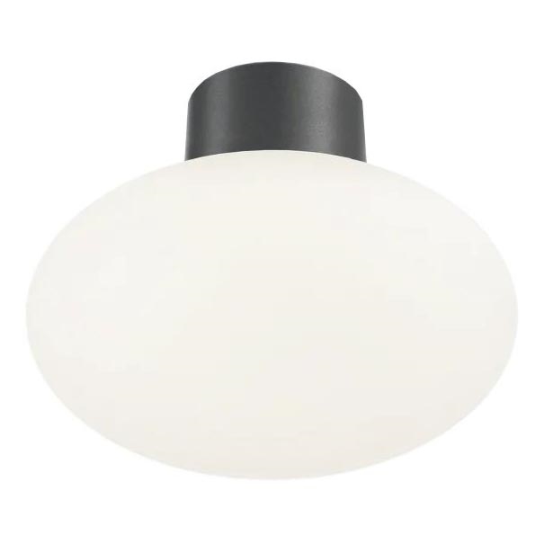 Ideal Lux - Plafondlamp voor buiten CLIO 1xE27/42W/230V IP44 antraciet