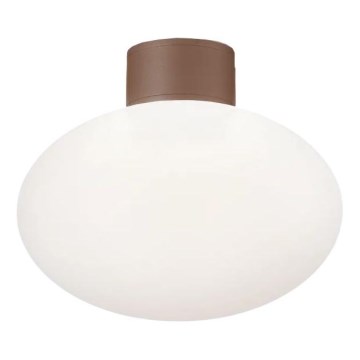 Ideal Lux - Plafondlamp voor buiten CLIO 1xE27/42W/230V IP44 bruin
