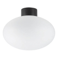 Ideal Lux - Plafondlamp voor buiten CLIO 1xE27/42W/230V IP44 zwart