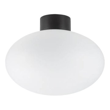Ideal Lux - Plafondlamp voor buiten CLIO 1xE27/42W/230V IP44 zwart
