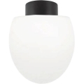 Ideal Lux - Plafonnier d'extérieur CLIO 1xE27/42W/230V IP44 noir