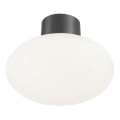 Ideal Lux - Plafonnier extérieur CLIO 1xE27/42W/230V IP44 anthracite
