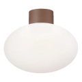 Ideal Lux - Plafonnier extérieur CLIO 1xE27/42W/230V IP44 marron