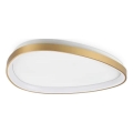 Ideal Lux - Plafonnier GEMINI LED/30W/230V d. 61 cm CRI 90 doré