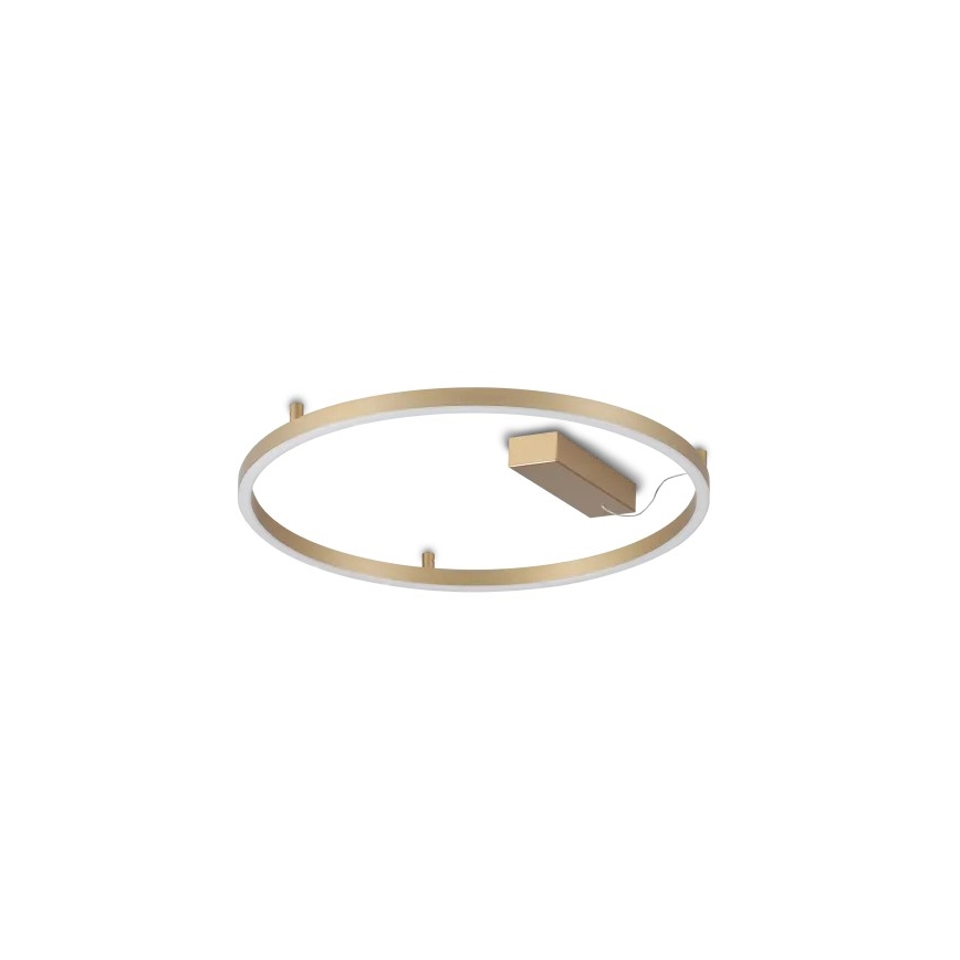 Ideal Lux - Plafonnier LED ORACLE SLIM LED/29W/230V 3000K (blanc chaud) IRC 90 Ø 50 cm finition dorée