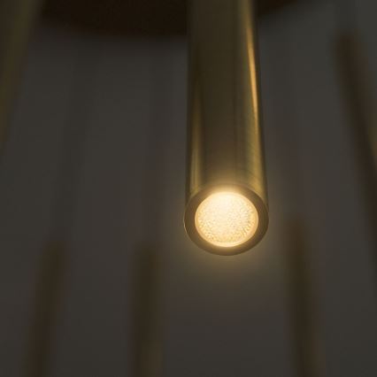Ideal Lux - Suspension filaire FILO LED/25W/230V laiton