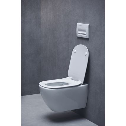 Ideal Standard T552201 - Abattant de WC TESI à fermeture douce (SoftClose), blanc