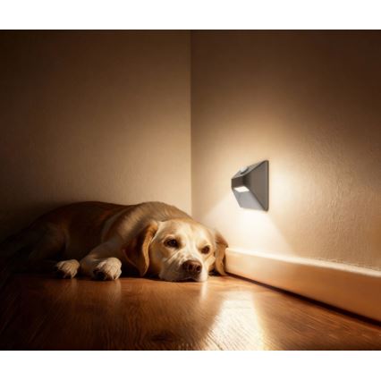 Oplaadbare LED-trapverlichting met bewegings- en schemersensor STEP LIGHT LED/0,3W/3,7V 2200 mAh IP53 grijs