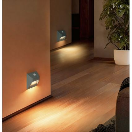 Oplaadbare LED-trapverlichting met bewegings- en schemersensor STEP LIGHT LED/0,3W/3,7V 2200 mAh IP53 grijs