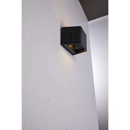 Applique murale solaire avec détecteur LED/2W/5V IP54 1300 mAh