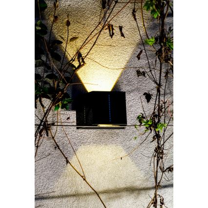 Applique murale solaire avec détecteur LED/2W/5V IP54 1300 mAh