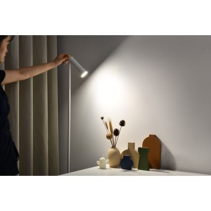 Dimbare LED Staande lamp TIT LED/6W/230V wit