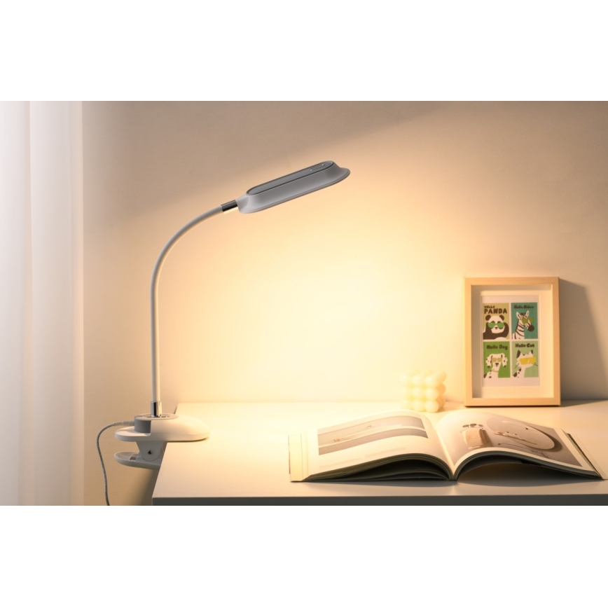 LED+CCT dimbare bureaulamp met klem CLIP LED/7,5W/230V 3000/4200/5000K wit