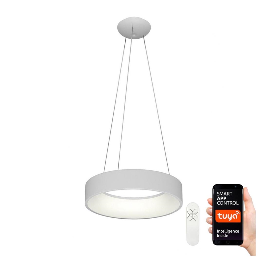 Immax NEO 07020L - Dimbare LED hanglamp aan een koord met afstandsbediening AGUJERO LED/30W/230V Tuya