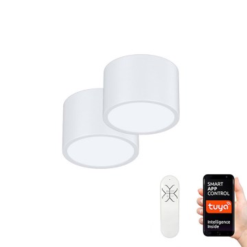 Immax Neo 07024L-15BD - Witt 2x LED Plafondlamp RONDATE 2xLED / 12W / 230V ZigBee Tuya