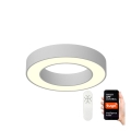 Immax NEO 07095L - LED dimbare plafondlamp PASTEL LED/52W/230V 60 cm Tuya + afstandsbediening