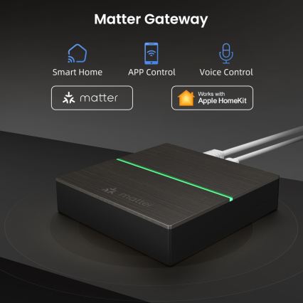 Immax NEO 07117-5 - Passerelle MATTER intelligente Zigbee 3.0 230 V Tuya Wi‑Fi