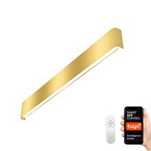 Immax NEO 07137-G - LED SMART Dimbare wandlamp LINEA goud LED/40W/230V + afstandsbediening 76 cm Tuya ZigBee