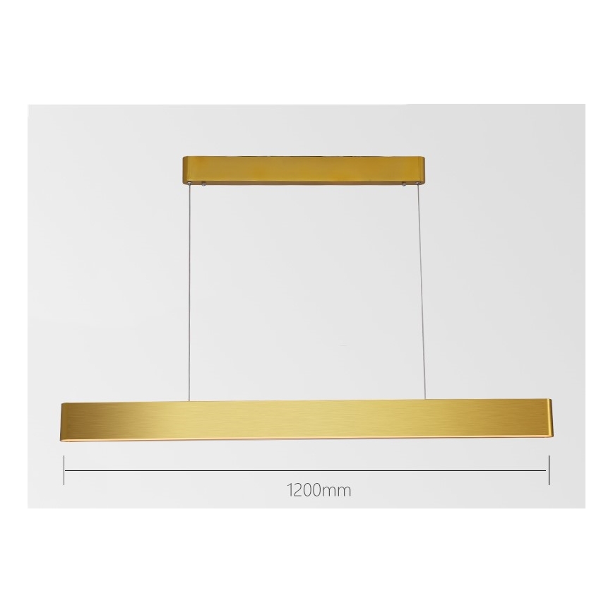 Immax NEO 07157-G120X - LED RGB+CCTW Dimbare hanglamp aan een koord MILANO LED/40W/230V Tuya goud