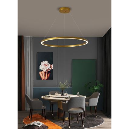 Immax NEO 07159-G80 - LED dimbare hanglamp aan snoer FINO LED/60W/230V Tuya goud + afstandsbediening