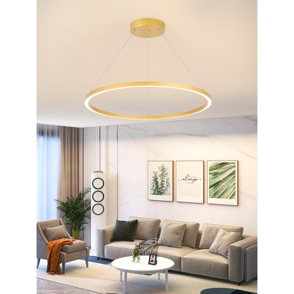 Immax NEO 07159-G80 - LED dimbare hanglamp aan snoer FINO LED/60W/230V Tuya goud + afstandsbediening