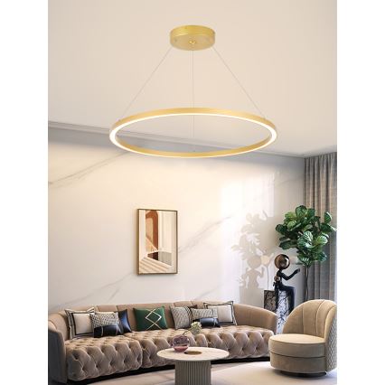 Immax NEO 07159-G80 - LED dimbare hanglamp aan snoer FINO LED/60W/230V Tuya goud + afstandsbediening