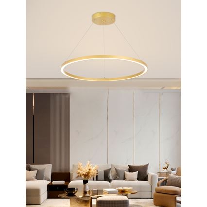 Immax NEO 07159-G80 - LED dimbare hanglamp aan snoer FINO LED/60W/230V Tuya goud + afstandsbediening