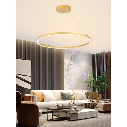 Immax NEO 07159-G80 - LED dimbare hanglamp aan snoer FINO LED/60W/230V Tuya goud + afstandsbediening