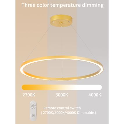 Immax NEO 07159-G80 - Suspension filaire à intensité variable FINO LED/60W/230V Tuya doré + télécommande