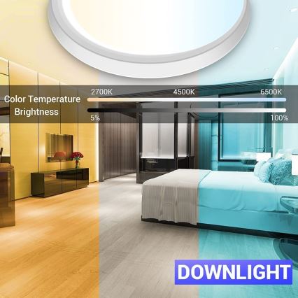 Immax NEO 07164-40 - LED RGB+CCT Dimbaar plafondlamp NEO LITE TUDO LED/50W/230V Wi-Fi Tuya + afstandsbediening