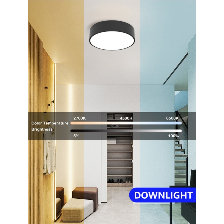 Immax NEO 07200L - Dimbare LED plafondlamp RONDATE LED/18W/230V 3000-6000K diameter 25 cm zwart Tuya + afstandsbediening
