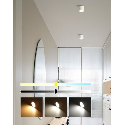 Immax NEO 07241L - Plafonnier LED dimmable RONDATE LED/18W/230V 11,5cm Wi-Fi Tuya
