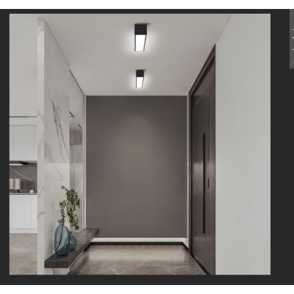Immax NEO 07254L - Plafonnier à intensité variable NEO LITE LUNGO LED/20W/230V 3000-6000K Wi-Fi Tuya noir + Télécommande
