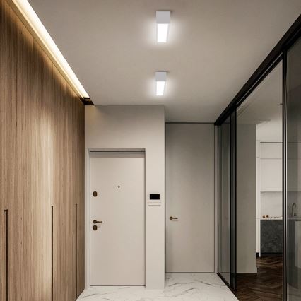 Immax NEO 07257L - LED dimbare plafondlamp NEO LITE LUNGO LED/20W/230V 3000-6000K Wi-Fi Tuya wit + afstandsbediening