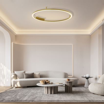Immax NEO 07290-120G - Plafonnier LED+CCT dimmable FINO LED/55W/230V 2700-6500K Tuya Ø 120 cm + télécommande