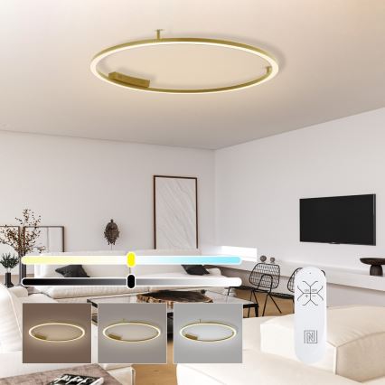 Immax NEO 07290-120G - Plafonnier LED+CCT dimmable FINO LED/55W/230V 2700-6500K Tuya Ø 120 cm + télécommande