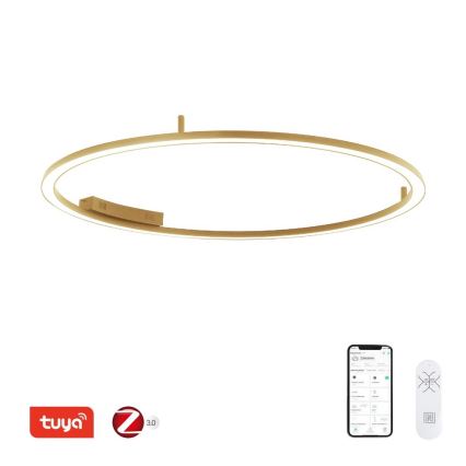 Immax NEO 07290-120G - Plafonnier LED+CCT dimmable FINO LED/55W/230V 2700-6500K Tuya Ø 120 cm + télécommande